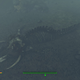 Players were obsessed with the idea of a ‘ghoul whale’ back when Fallout 4 was originally released, and these new skeletons are the closest confirmation we have that such a thing exists. Look at the tusks on that thing!